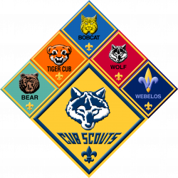 Cub-Scout-Group